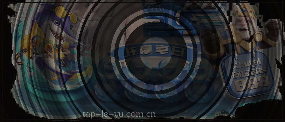 隐私与数据保护说明